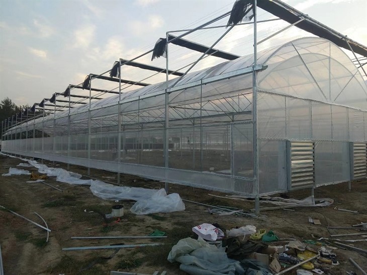 Film Greenhouse