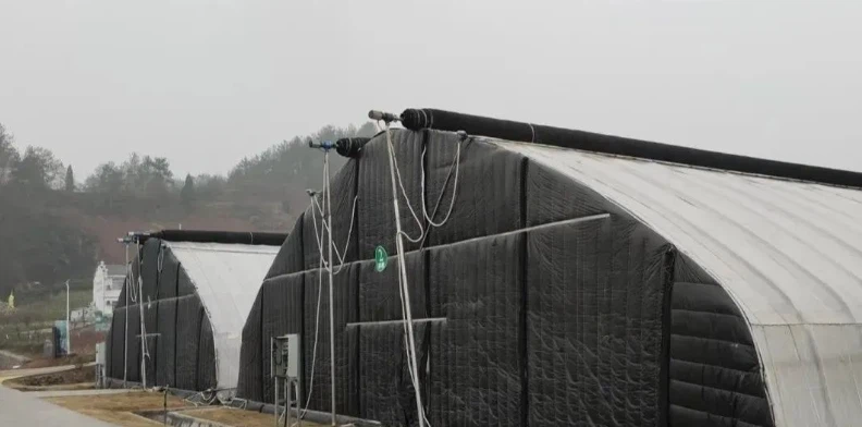 QQ20240731173608 QQ20240731173608