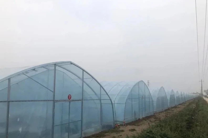 QQ20240731173711 QQ20240731173711