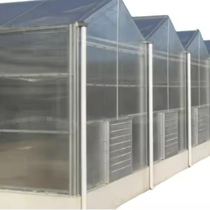 Polycarbonate Aluminium Greenhouse