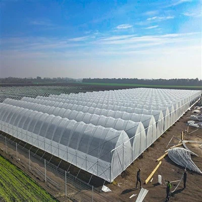 Yağmur Barınağı Serası